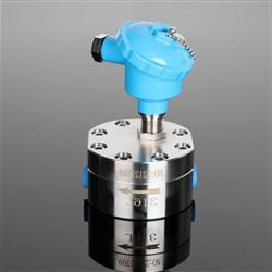 CL20型齿轮流量计